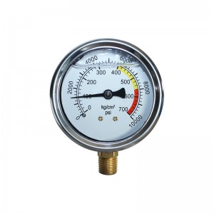 Pressure Guage
